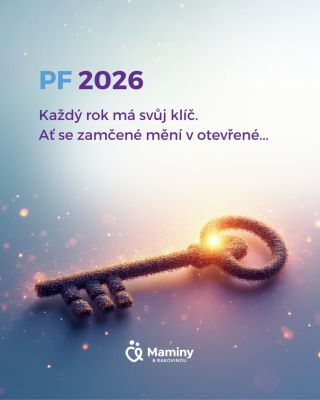 Rok 2025 byl pro nás rokem odvahy zaklepat na dveře změny.🚪 Pustili jsme se do nových výzev, některé nadchly nás, jiné...