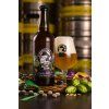 POMLÁZKA Cold Pale ALE 13%