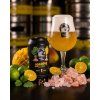 Goséčko Mango-Calamansi 11% - plech