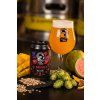 KRUSH Hazy Pale ALE 12% -  plech 330ml