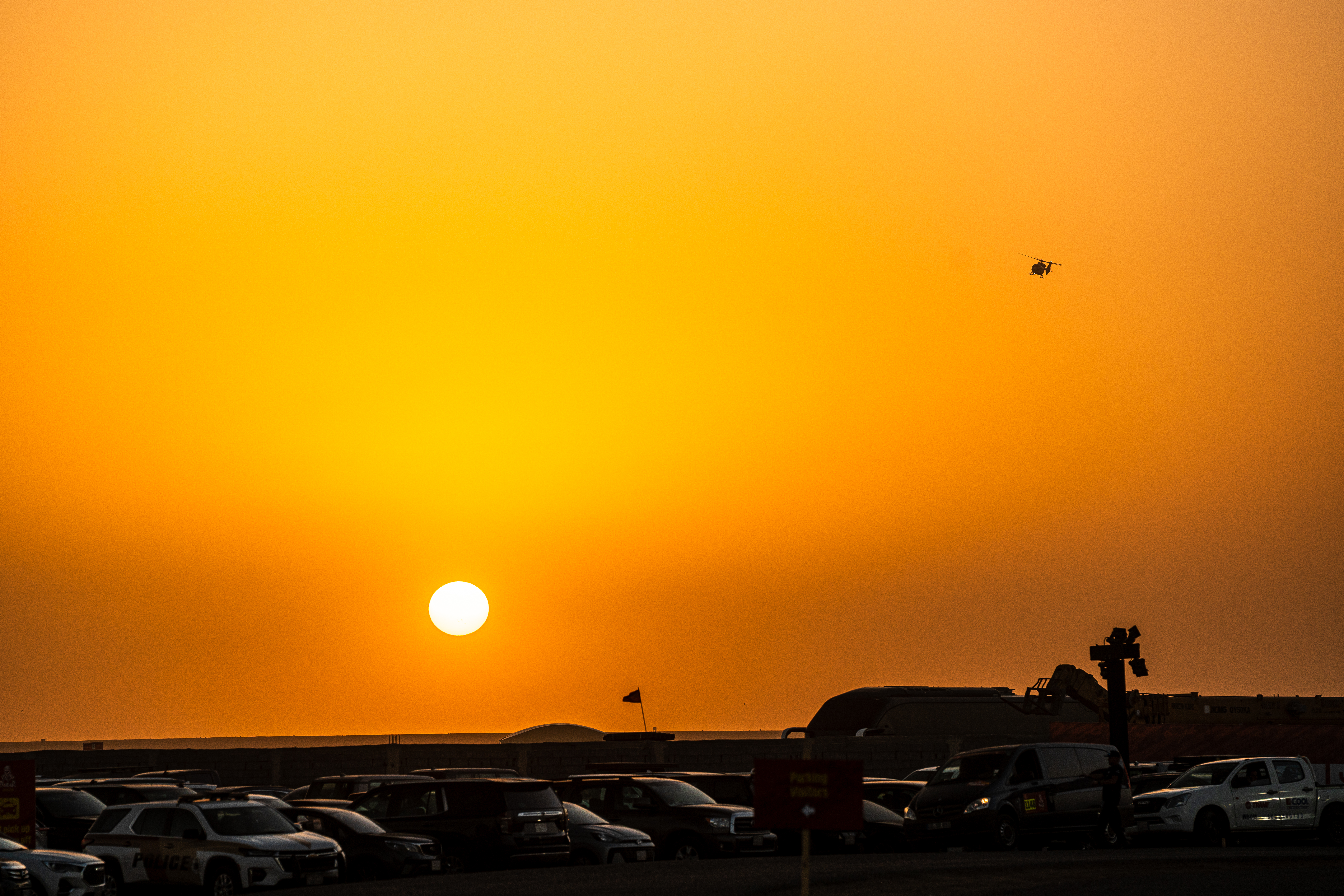 55020565802_2a58ab91fa_o