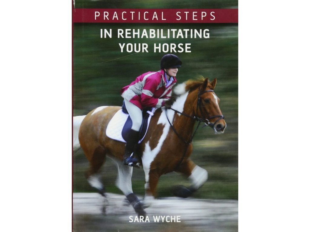 1735 practical steps in rehabilitating your horse sara wyche
