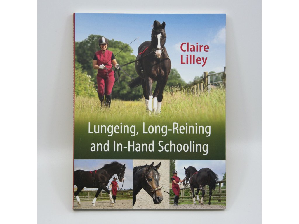 Lungeing, Long Reining and In Hand Schooling