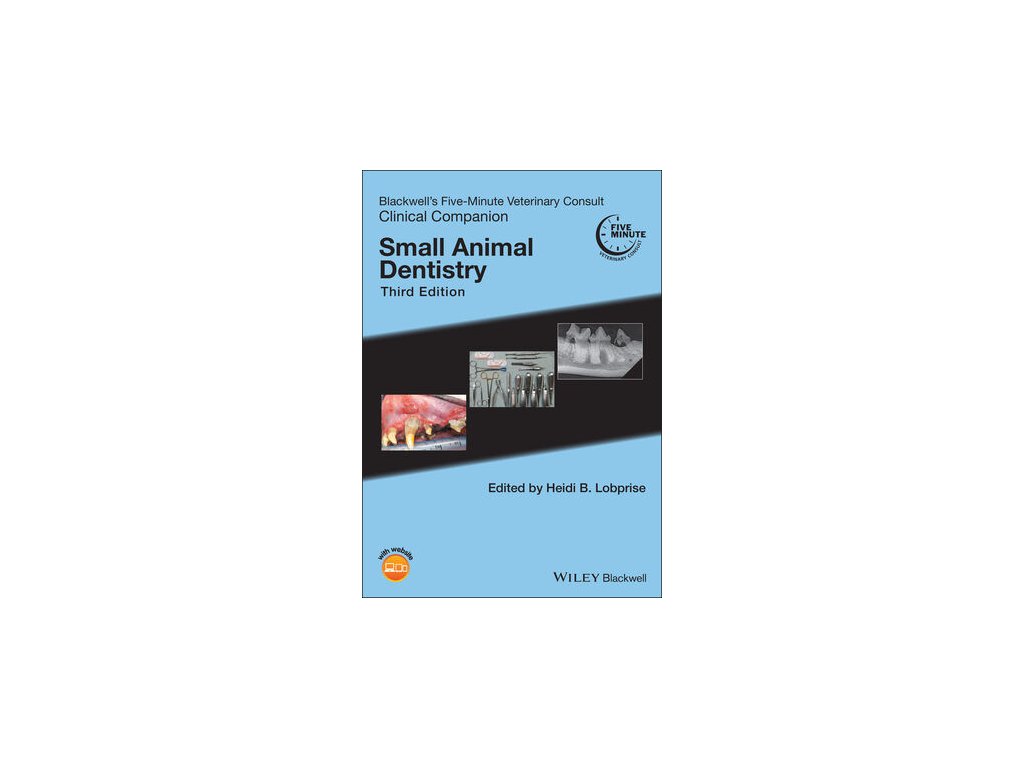 Veterinary Dentistry Flower Mound Best Flower Site