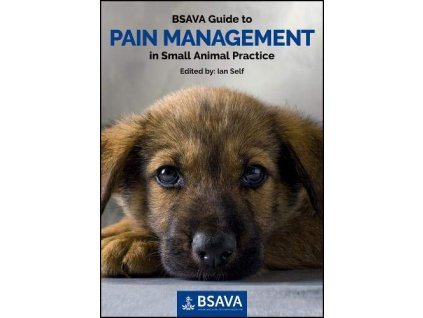 1156 bsava guide to pain management in small animal practice ian self