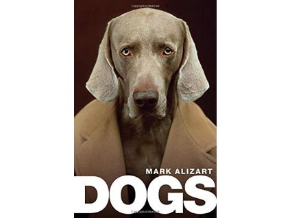 1213 dogs a philosophical guide to our best friends mark alizart