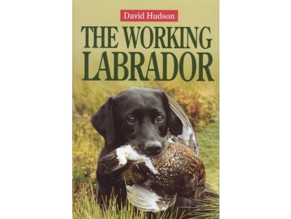 1264 the working labrador david hudson