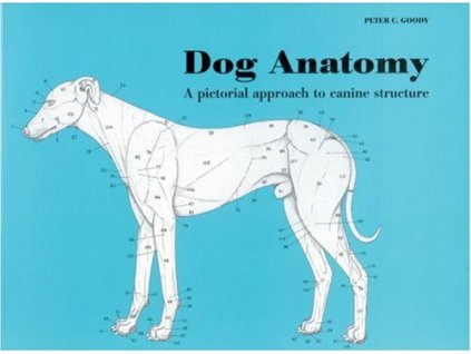 1387 dog anatomy a pictorial approach to canine structure peter c goody