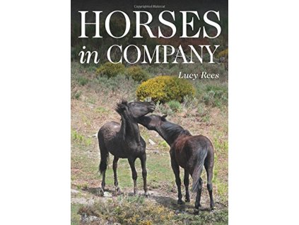 1441 horses in company lucy rees