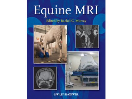 1561 equine mri rachel c murray