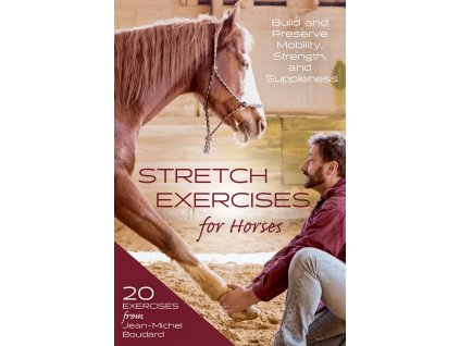 Strech Exercises for Horses