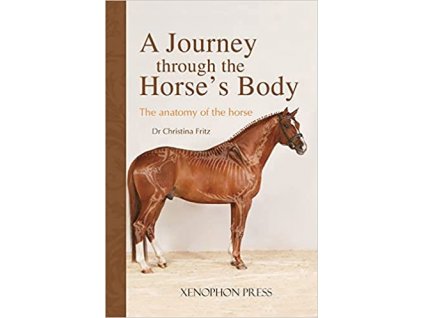 A Journey Through the Horse's Body The Anatomy of the Horse