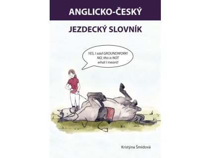 obalka slovnik (1)