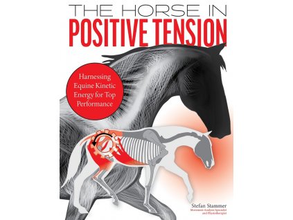 The Horse in Positive Tension