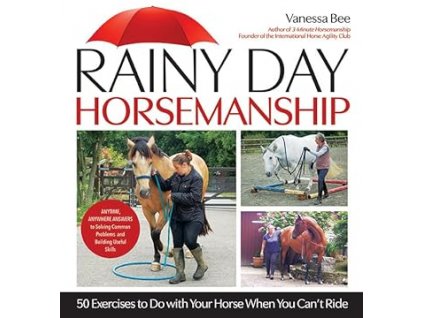 Rainy Day Horsemanship