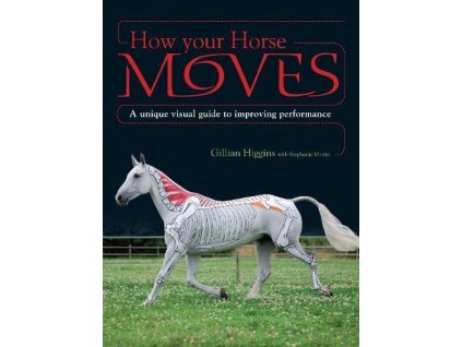 2203 how your horse moves a unique visual guide to improving performance gillian higgins stephanie martin