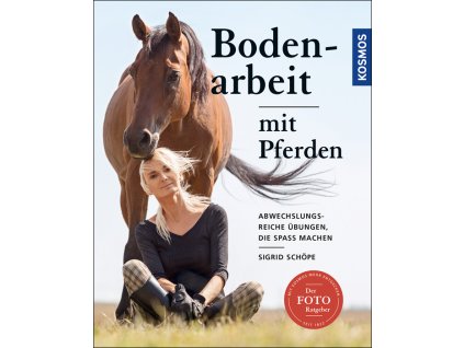 Bodenarbeit mit Pferden