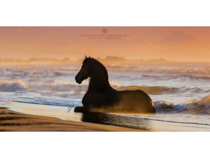 Awakening sleeping Kelpie 70 x 140 cm (Rozměr 70 x 140 cm)