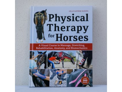physical therapy for horses helle katrine kleven