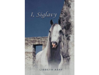 916 i siglavy lisbeth asay