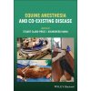 Equine Anesthesia and Co Existing Disease