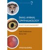 Small Animal Ophthalmology What's Your Diagnosis