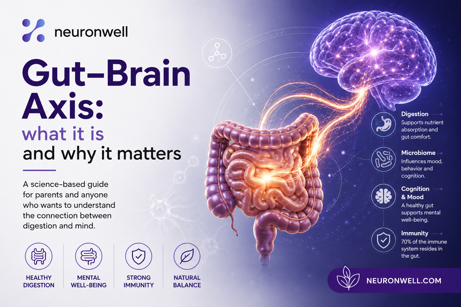 The Gut–Brain Axis: What It's And Why It Matters