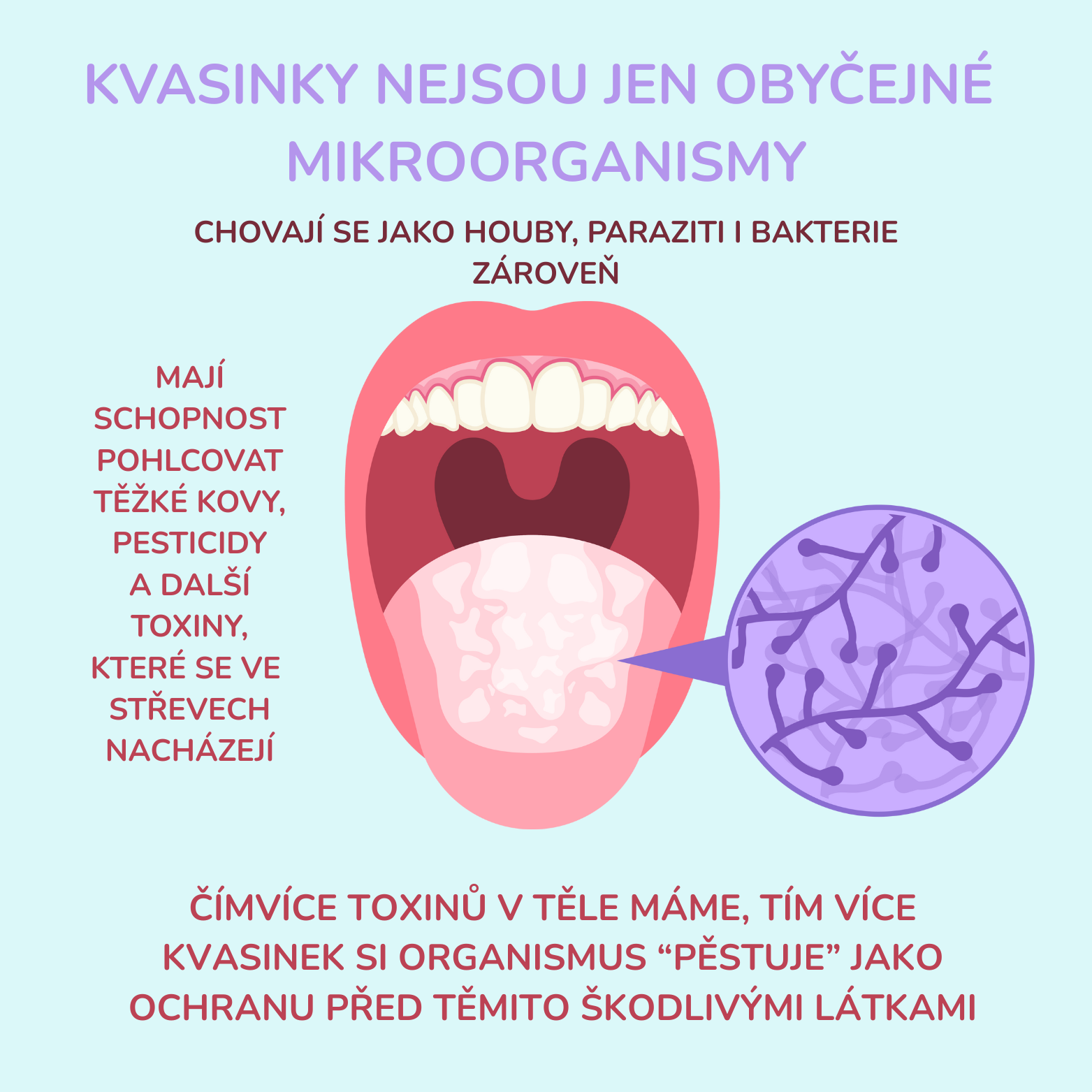 Detoxikace kvasinek a parazitů: Proč je důležité použít binder?