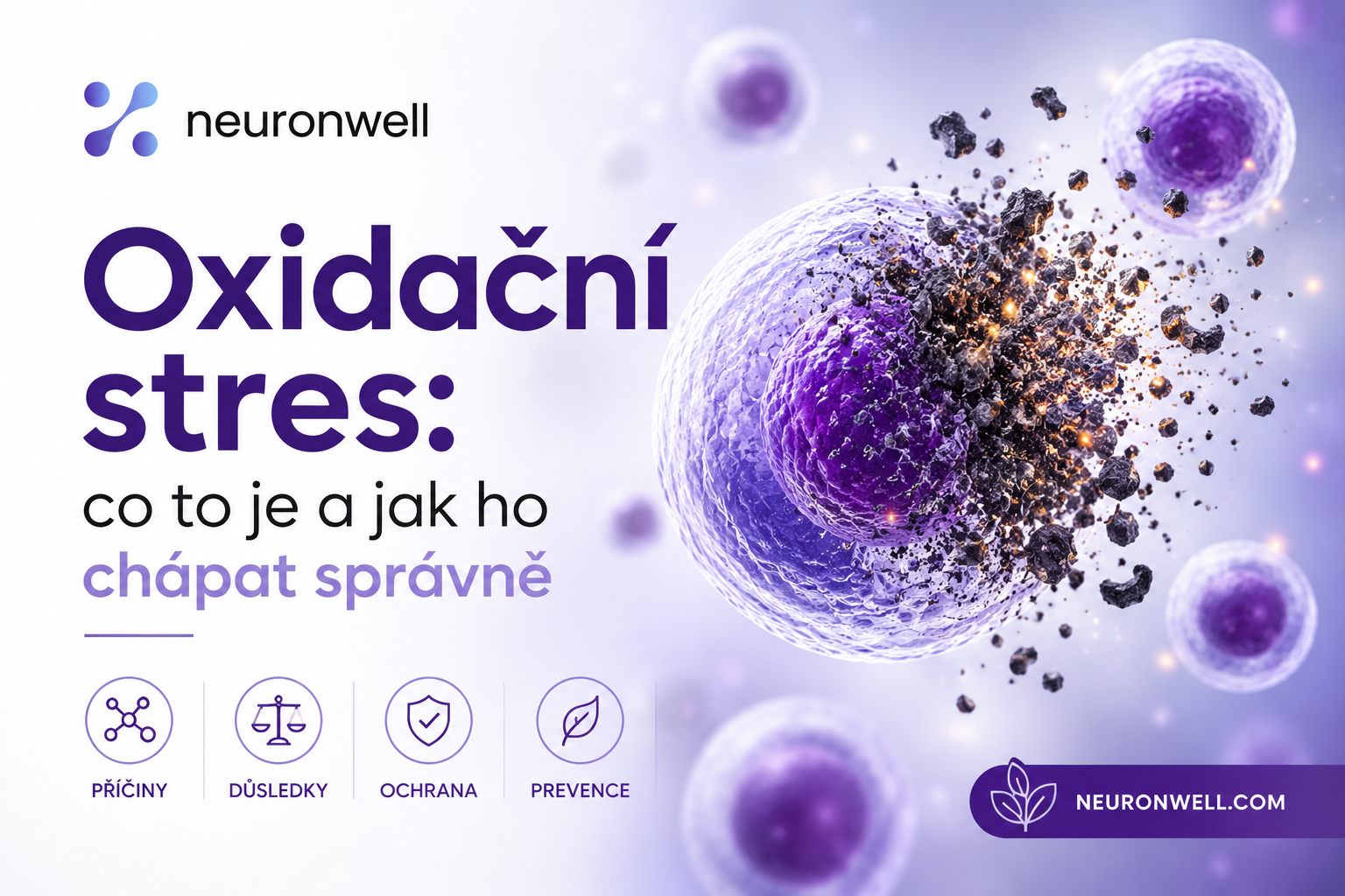Oxidační stres: co to je a jak ho chápat správně