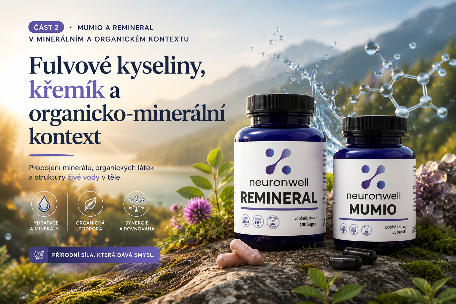Fulvové kyseliny, křemík a organicko-minerální kontext