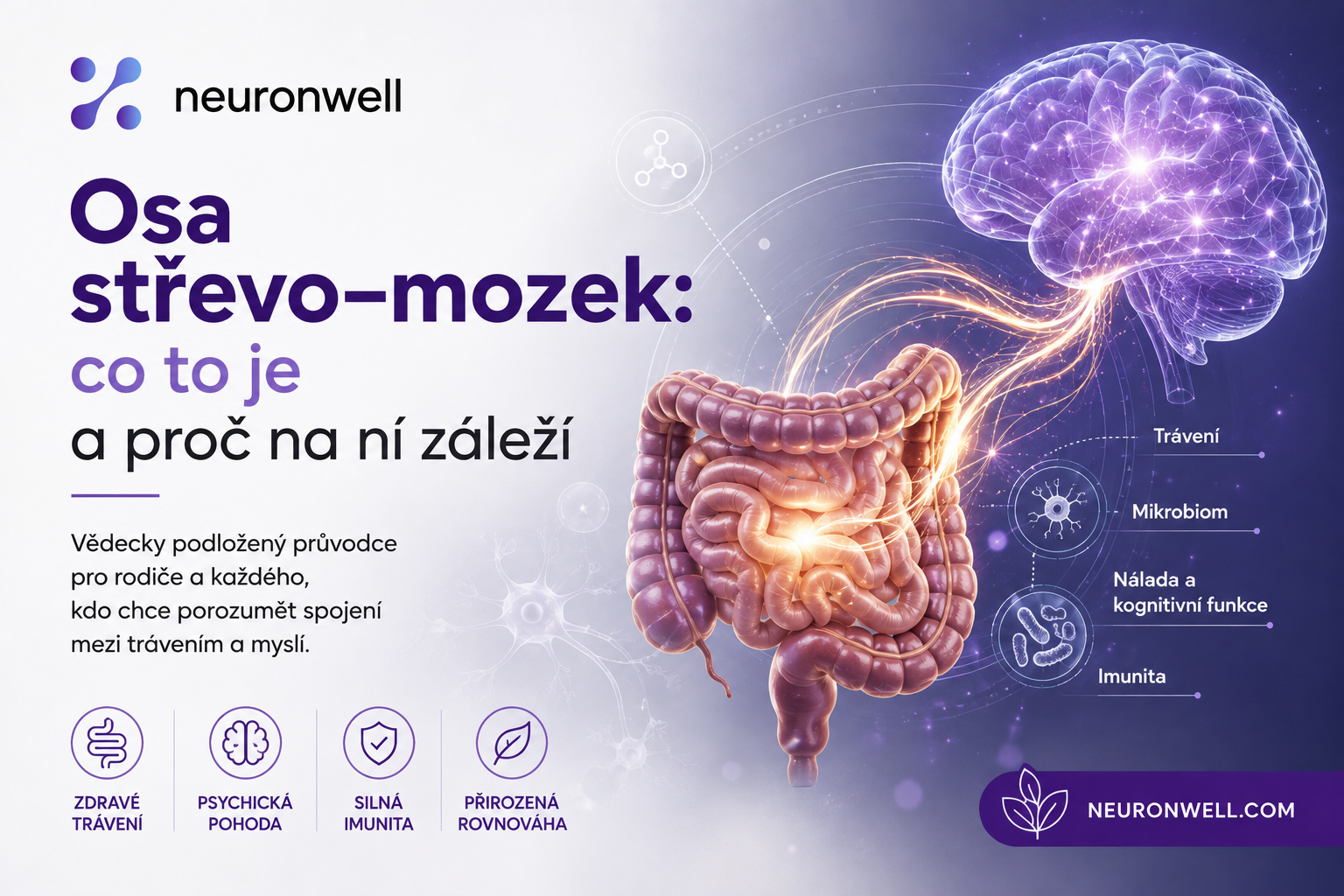 Osa střevo–mozek: co to je a proč na ní záleží