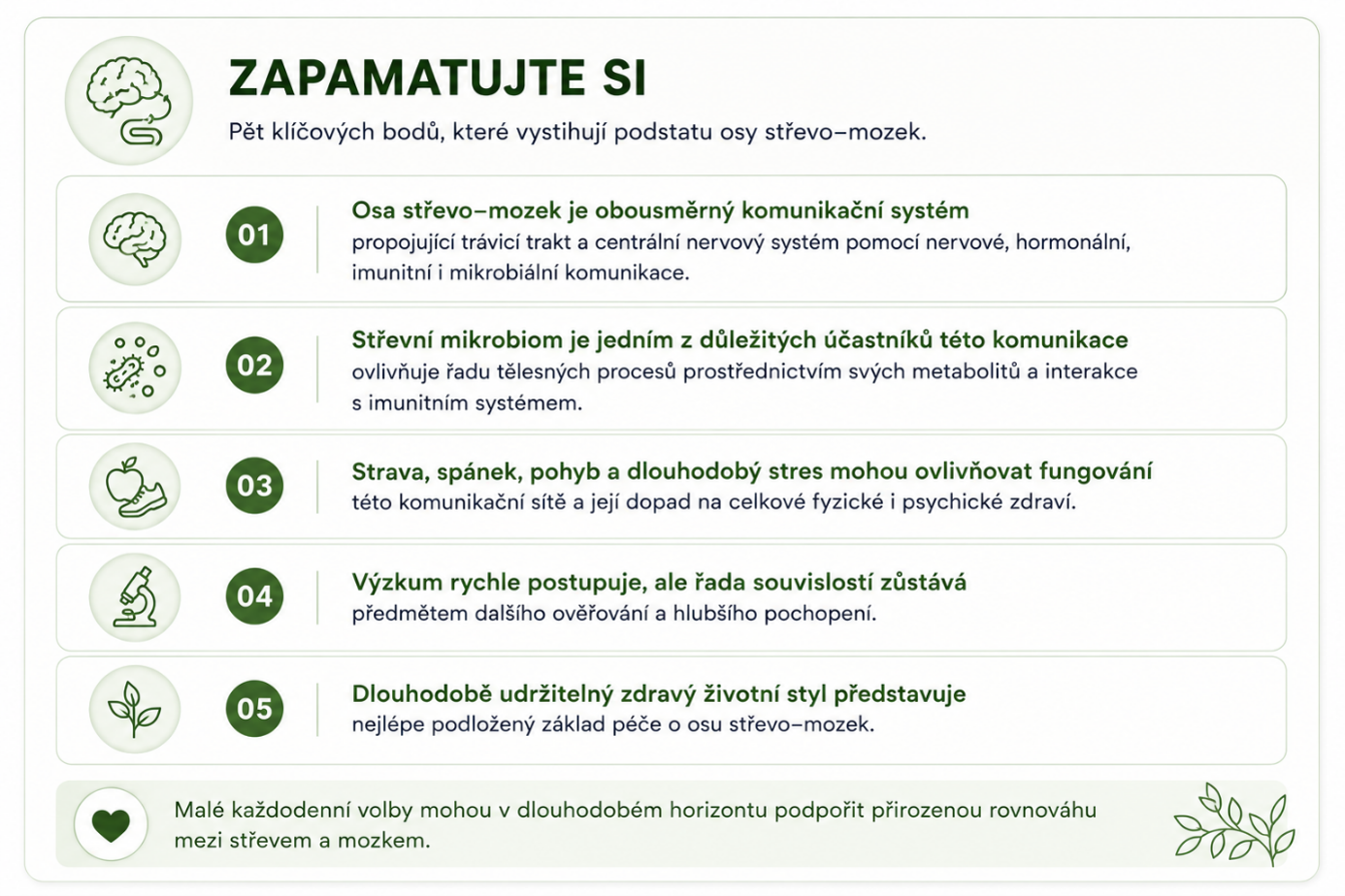 Co si zapamatovat o ose střevo–mozek