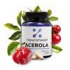 Acerola