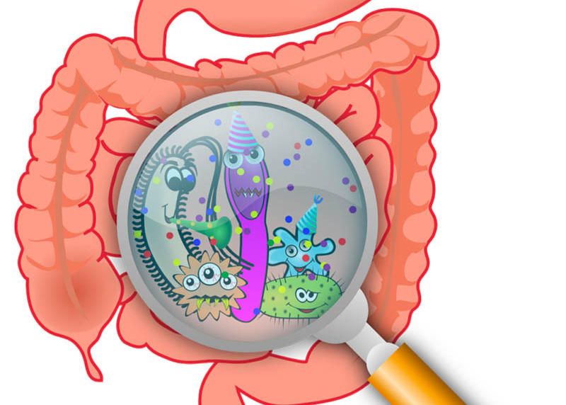 Co vše ovlivňuje účinnost probiotik?