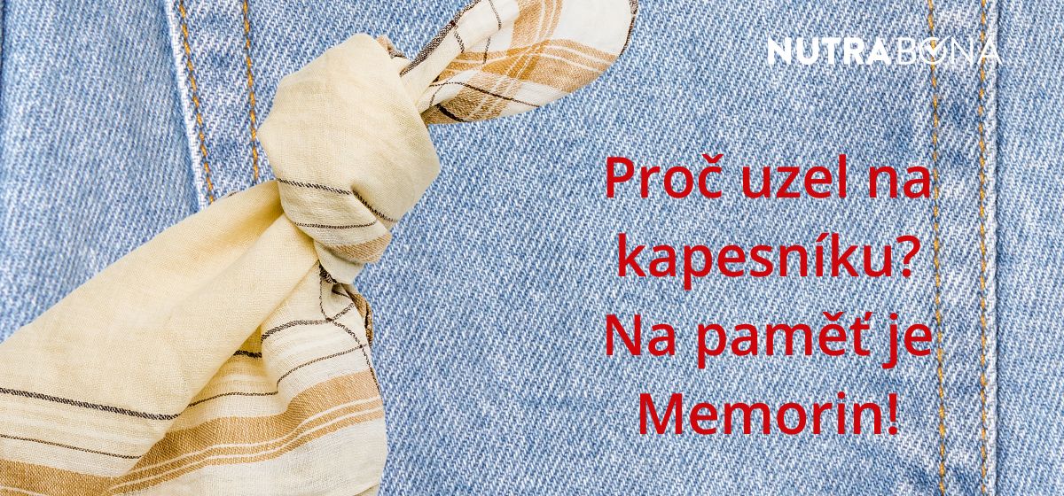 Memorin na paměť - na zkoušky i pro seniory