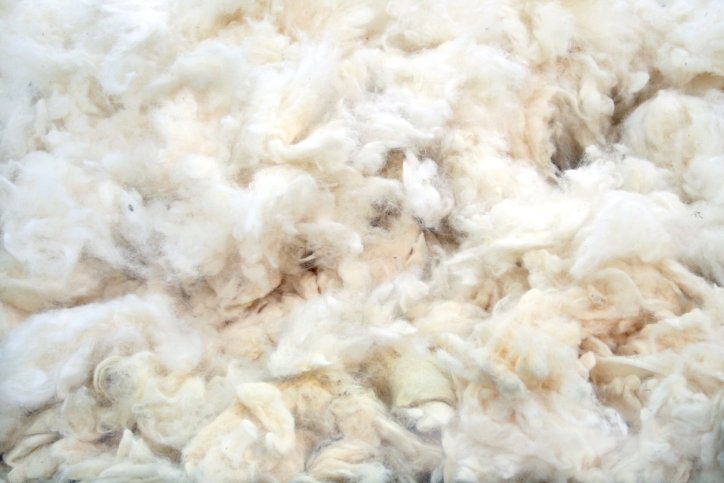 Co je merino vlna