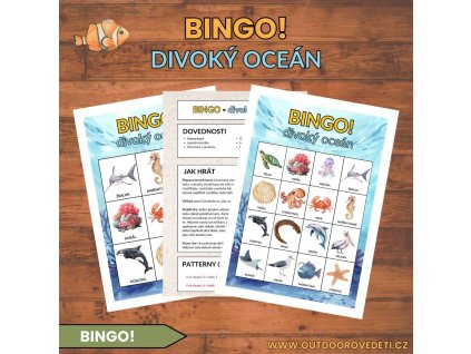 BINGO! Divoký oceán
