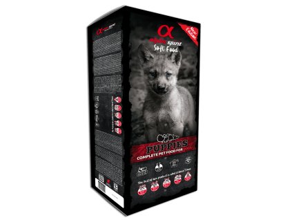 20103 20103 20103 14636 puppies 01