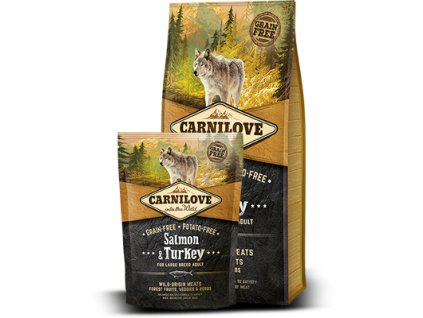 111 111 100150828 z1