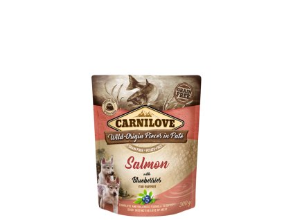 246 246 101111699 z1