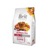 33312 1755 1755 brit animals guinea pig complete 1 5 kg