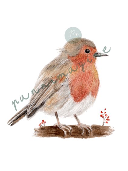 Vörösbegy art print