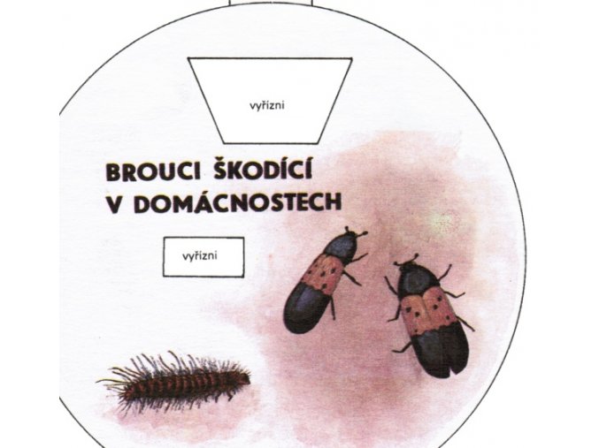 Brouci škodící v domácnosti