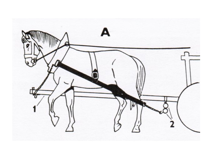 koňské spřežení, vozka a pes