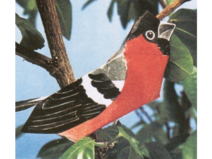 ABC 4021c01