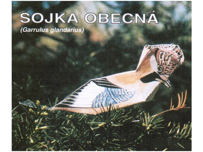 Sojka obecná