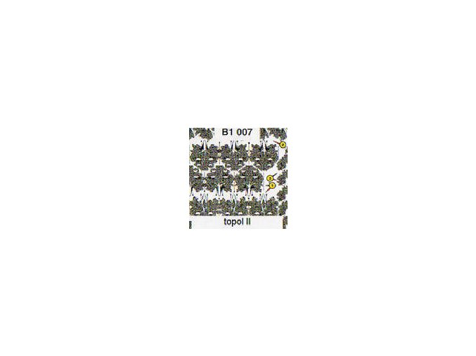 wdsB1007