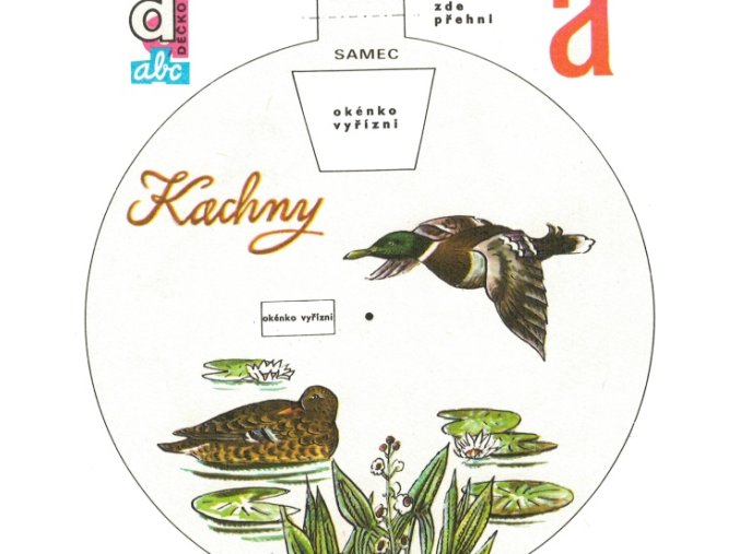 Kachny (Naše kachny)