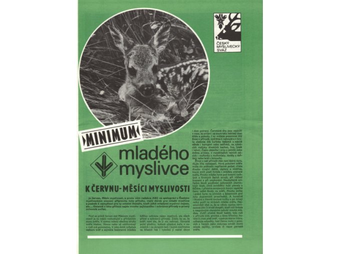 Minimum mladého myslivce