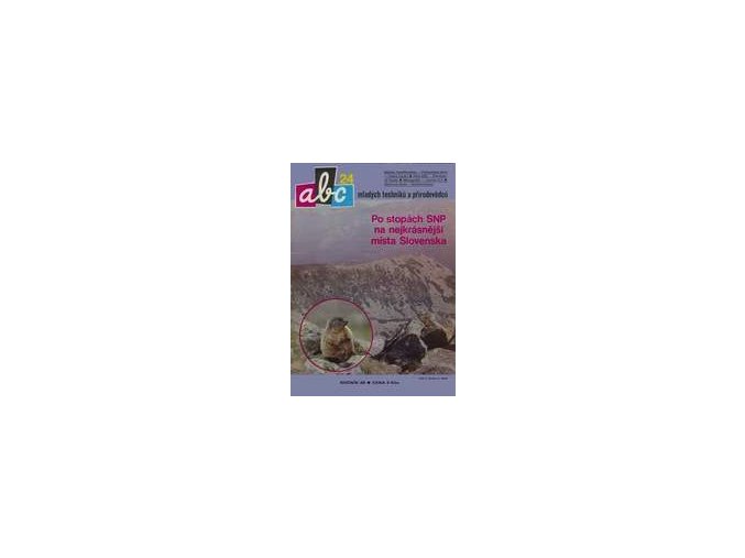 ABC C 28 24
